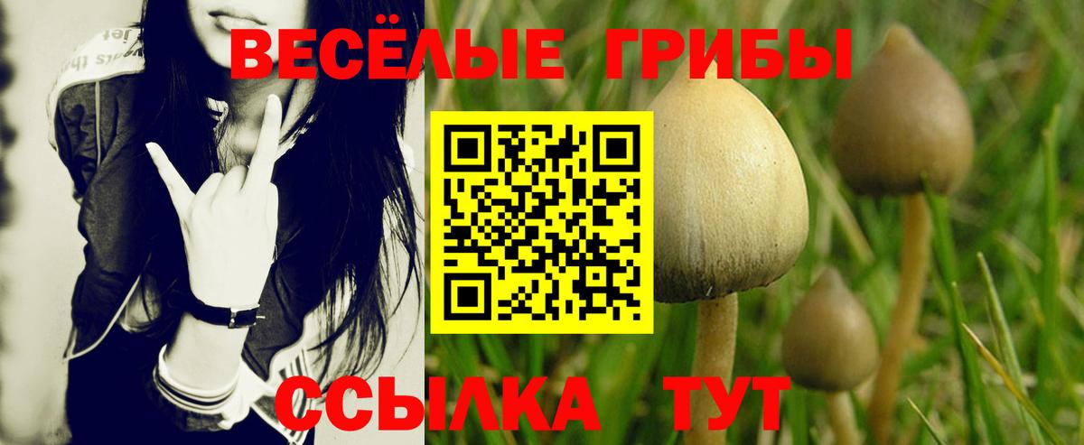 Галлюциногенные грибы прущие грибы  купить наркоту  Россошь  Вход с VPN 